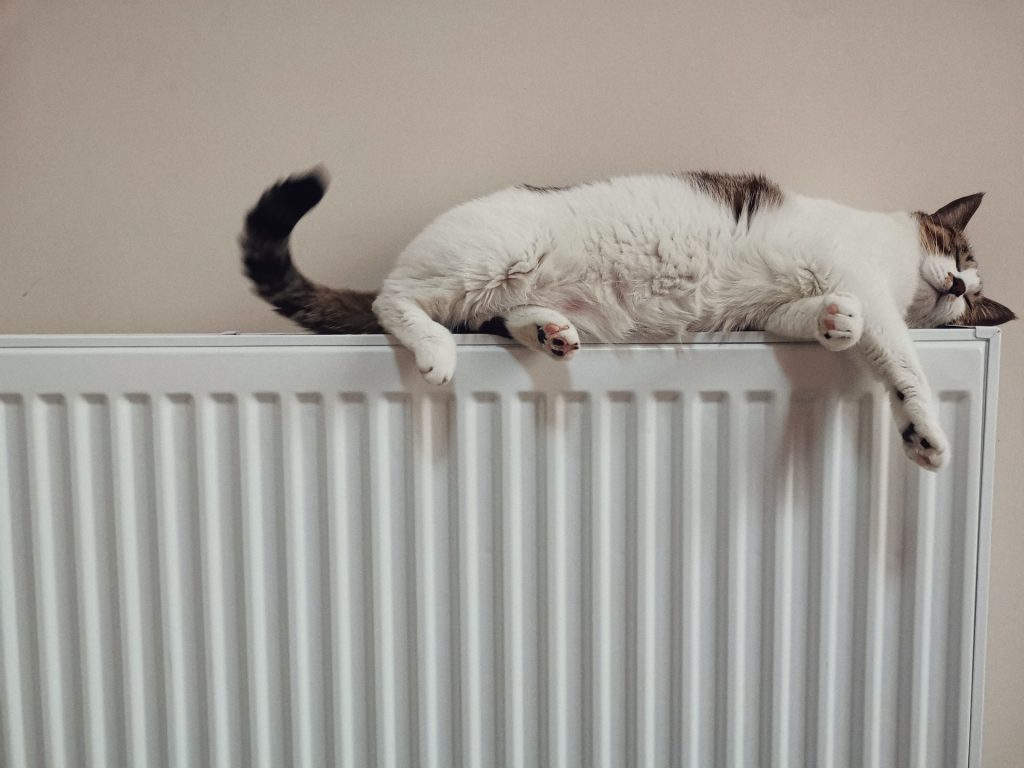 Can a landlord control my heating?