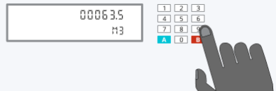 How to read a smart gas meter with a keypad